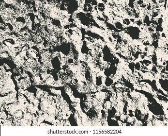 Coquina. Abstract Background. Grunge Texture. Vector illustration.