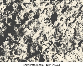 Coquina. Abstract Background. Grunge Texture. Vector illustration.