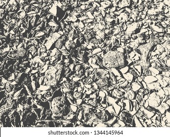 Coquina. Abstract Background. Grunge Texture. Vector illustration.