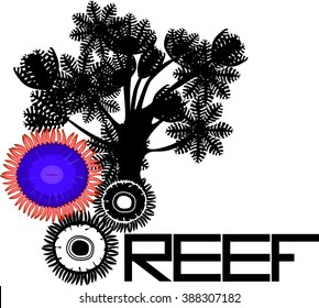 coral abstract background