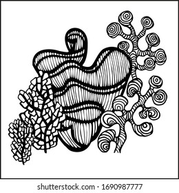 Coral and Algae vector graphic sketch handdraw 