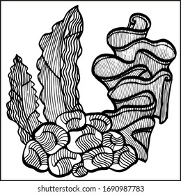 Coral and Algae vector graphic sketch handdraw 