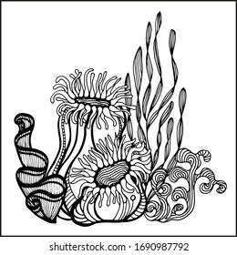 Coral and Algae vector graphic sketch handdraw 