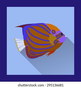 Coral angelfish in flat style - vector illustration