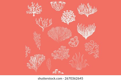 Ilustração de gráficos vetoriais de plano de fundo de coral