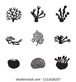Coral black icon