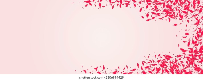 Coral Blossom Vector Pink Panoramic Background. Fly Petal Banner. Scarlet Flower Japan Illustration. Ruby Japanese Sakura Poster.