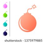 Coral Bomb ready to explode icon isolated on white background. Set color icons. Vector Illustration