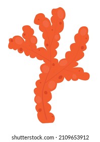 Coral branch flat style for logo icon and design