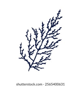 Coral branch, marine plant. Exotic seaweed, tropical underwater alga. Sea reef element. Natural organic undersea decoration. Ocean decor. Flat vector illustration isolated on white background