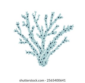 Coral branch. Sea underwater reef plant. Exotic marine fauna with porous structure. Organic tropical flora. Undersea under water decoration. Flat vector illustration isolated on white background