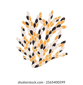 Coral branch, underwater polyp plant. Exotic marine reef flora structure. Tropical ocean fauna, natural sea coastal decoration. Flat graphic vector illustration isolated on white background