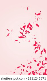 Coral Cherry Vector Pink Background. Beauty Flower Cover. Ruby Floral Blur Wallpaper. Red Tender Blossom Texture.