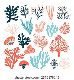 Coral collection: Includes various ocean plants, underwater flora, and seaweeds. Features aquatic plants, algae, and tropical seabedel ements vector set