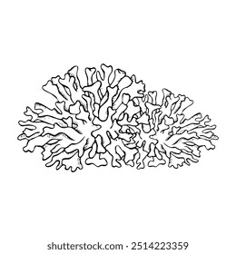 Coral colony flat vector illustration. Black and white sea reef animals for coloring. Hand drawn monochrome underwater nature, ocean polyp line drawing for marine and nautical design