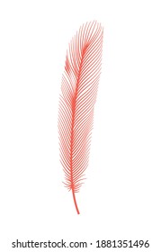 Coral detailed feather of bird. Vector decorative fluffy pink feather of flamingo or goose. Plume icon isolated on white background