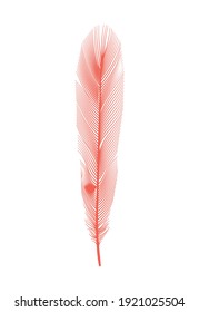 Coral detailed feather of bird. Vector decorative fluffy pink feather of flamingo or goose. Plume icon isolated on white background