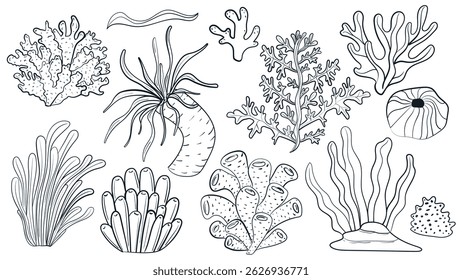 Coral doodle set. Ocean underwater flora design element. Cartoon isolated vector illustration.
