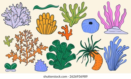 Coral doodle set. Ocean underwater flora design element. Cartoon isolated vector illustration.