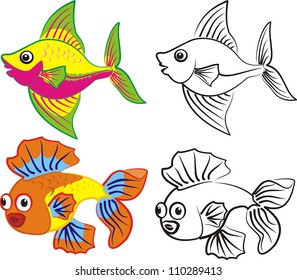 coral fish