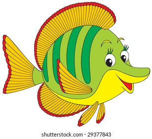 Coral fish