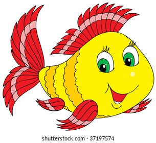 Coral fish