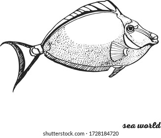 coral fish hand drawing isolated on white background vector
