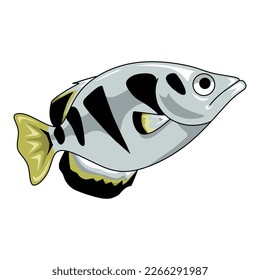 coral fish vector set isolated on white. animal, sea, ocean, seafood, coral fish, food, pet, aquarium, yellow, black, white, simple, vector illustration.