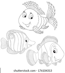 Coral fishes