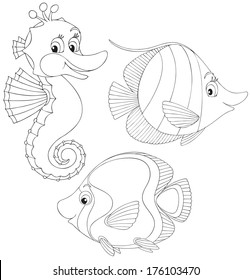 Coral fishes and seahorse