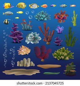 Korallen und Fische. Unterwasserflora, Fauna Meerwasser Meeresalgen Aquarium, Kelp und Korallen. Ozeanfarbensatz Vektorgrafik