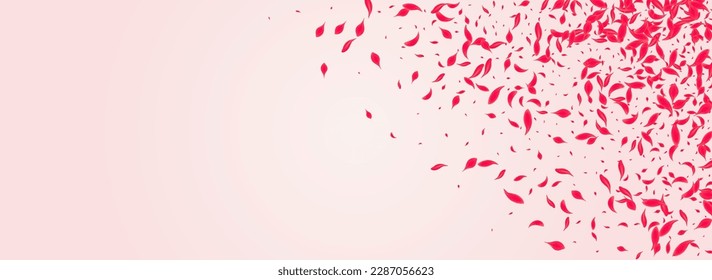 Korallenblume, Vektorrosa, Panoramahintergrund. Unscharfes Rosenplakat. Ruby Peach Falling Design. Scarlet-Fliegender Lotus-Hintergrund.