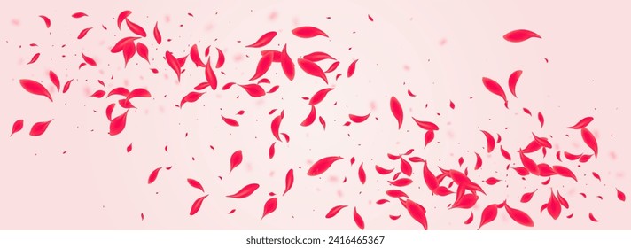 Coral Flower Vector Pink Panoramic Background. Fly Sakura Poster. Scarlet Floral Japanese Illustration. Red Flying Rose Frame.