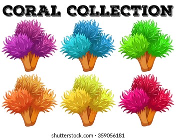 Coral flowers in different colors illustration