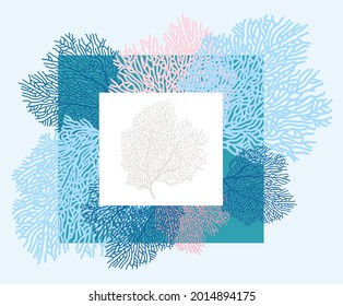 Coral frame isolated on light blue background. Vector illustration for photo decoration, invitations, cosmetics packaging and other projects.