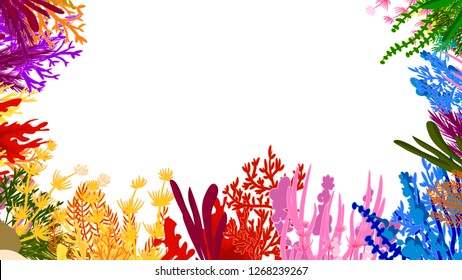 coral frame vector