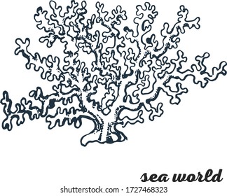coral hand drawing vector illustration isolated on white background