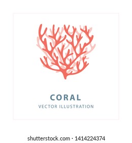 Coral. Hand drawn coral vector illustration. Living Coral. Part of set.