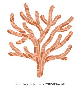 icono de coral. ilustración de coral del icono del vector de coral