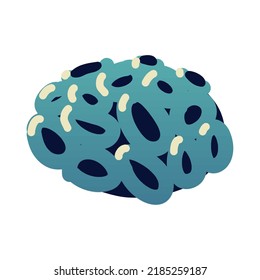 fondo blanco aislado del icono de coral
