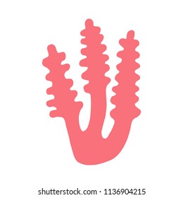 coral isolated hand drawing. on a white background