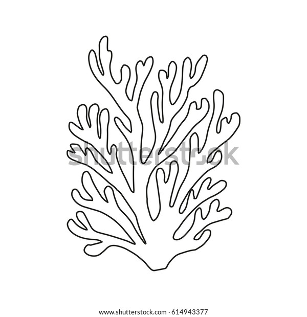 Coral Line Drawing Vector Stock Vector (Royalty Free) 614943377