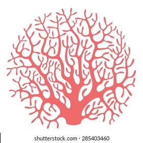Coral logo. Isolated coral on white background