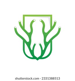 Coral Logo, Marine Plant Design Place Marine Animal, Seaweed Sea Vector
