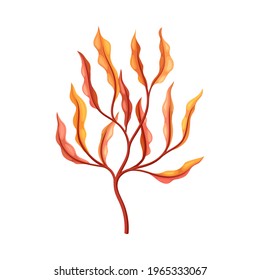 Coral as Marine Invertebrate from Ocean Bottom Vector Illustration
