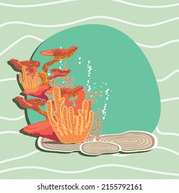 coral marine life tropical style
