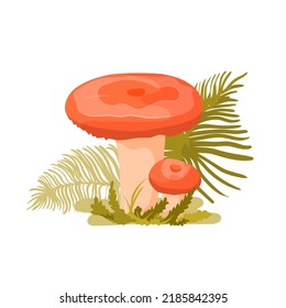 Coral milky cap, wild mushroom in cartoon style.