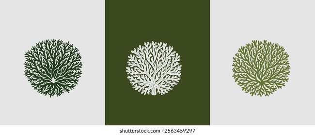 Coral natural vector design concept 