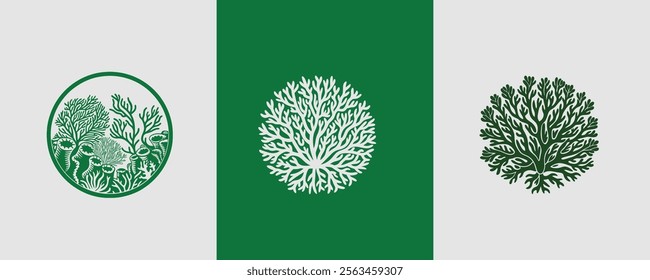 Coral natural vector design concept 