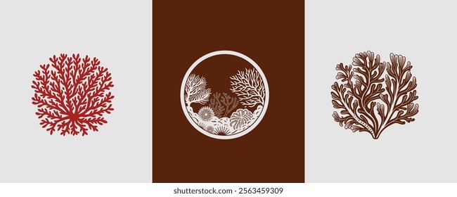 Coral natural vector design concept 
